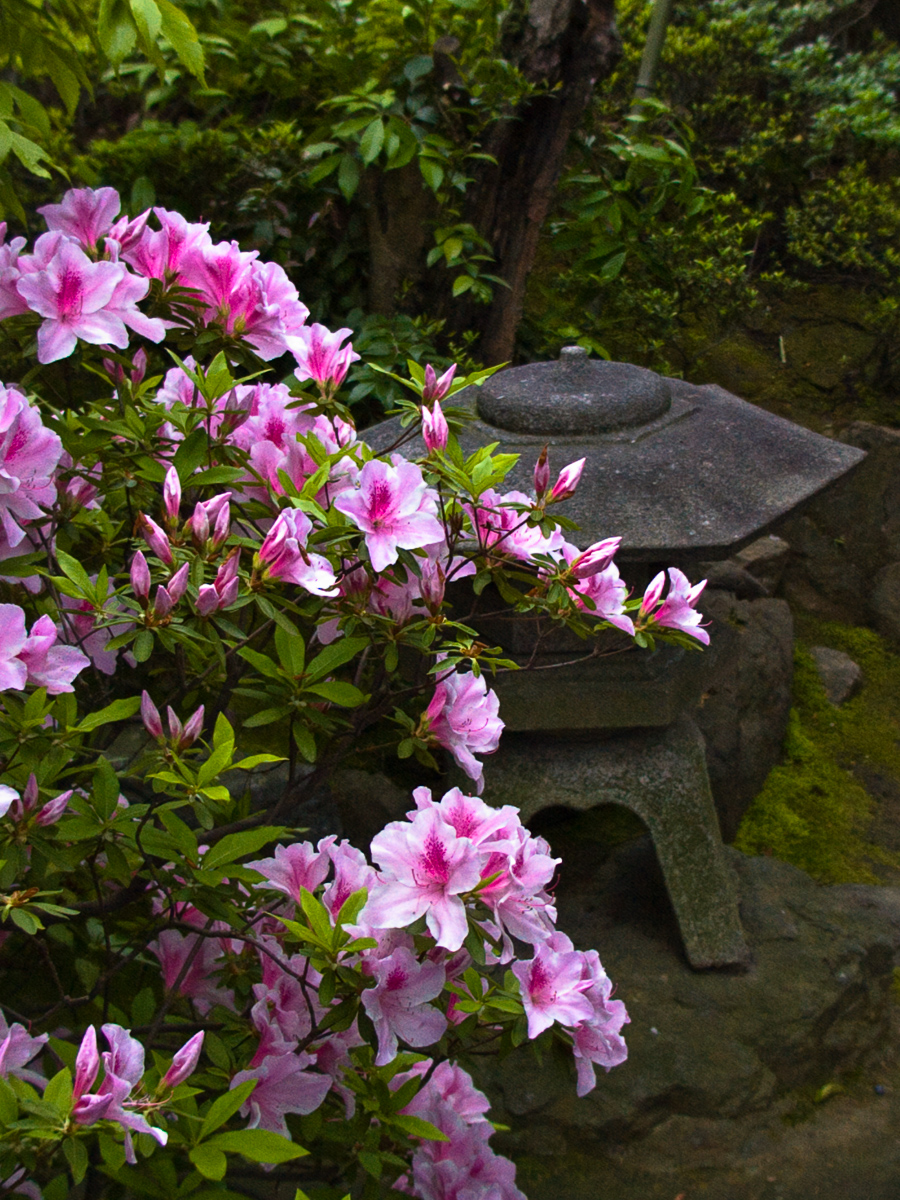 Photo: Jardin a Kyoto