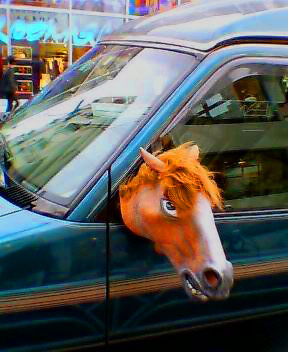 photo : Retroviseur chevalin, Daikanyama, Tokyo, 2003