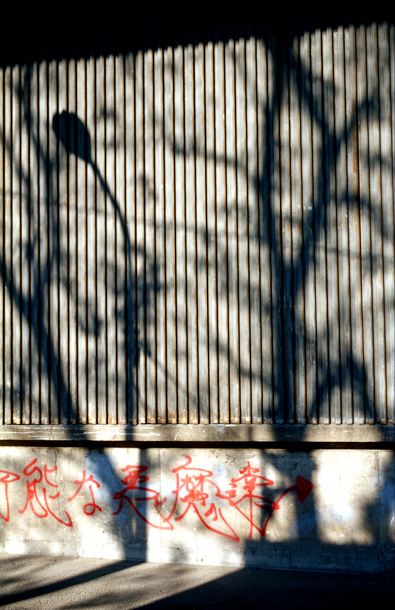 Photo: Ombres et Graffitis