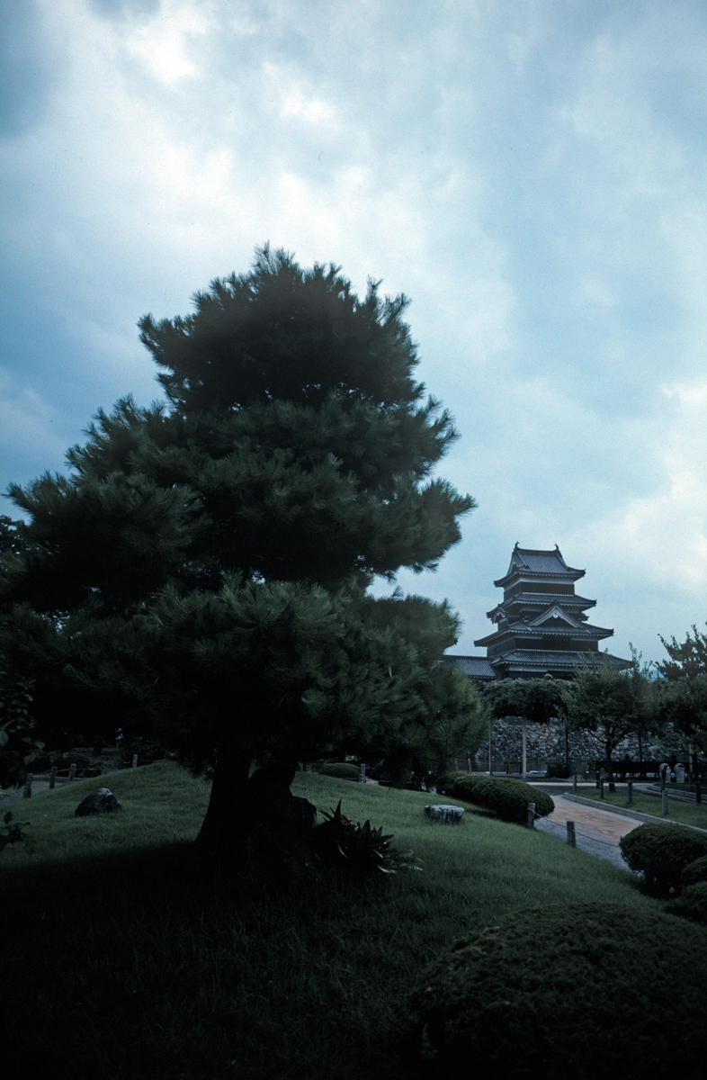 Photo: Matsumoto Castle - Detail