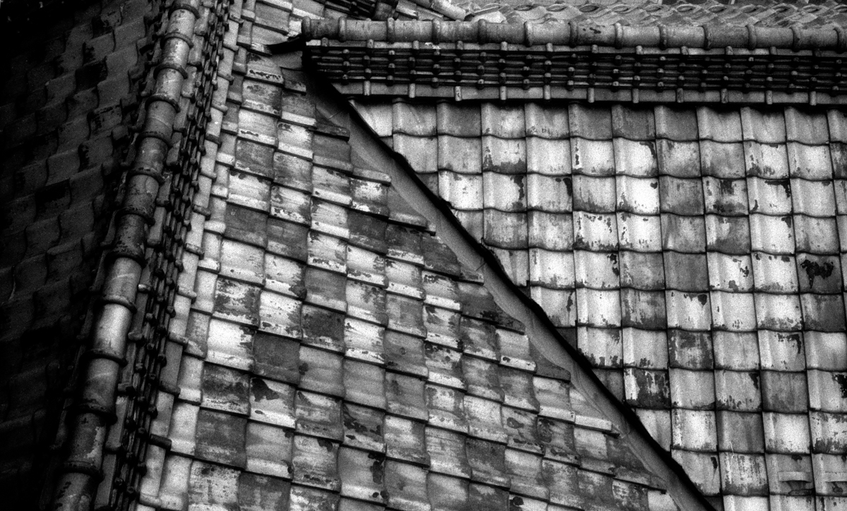 Photo: Asakura Choso roof