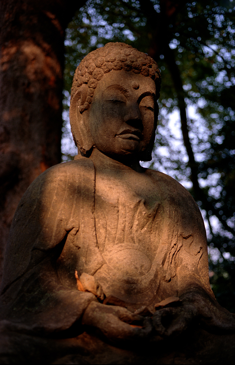 Photo: Buddha