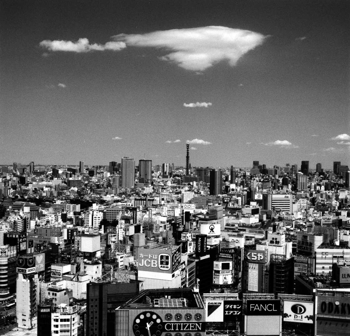 Photo: Shinjuku Skyline