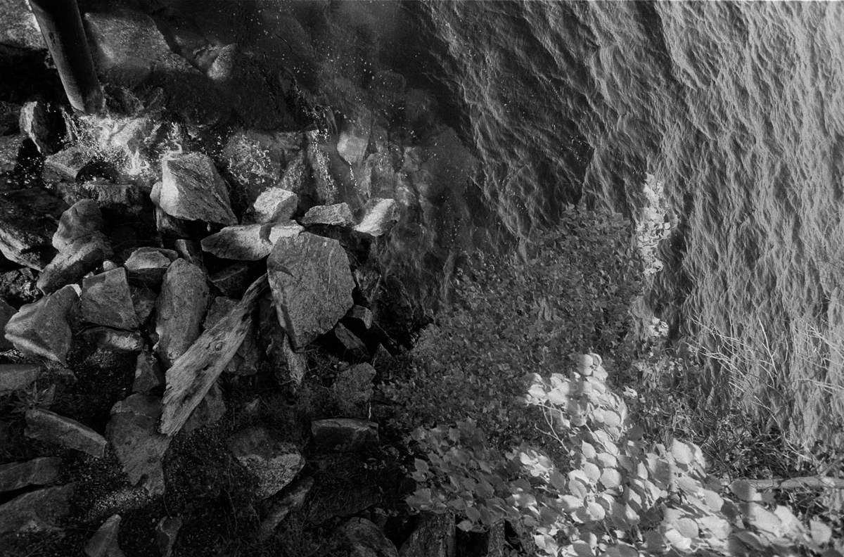 Photo: Rock, Water, Leaves