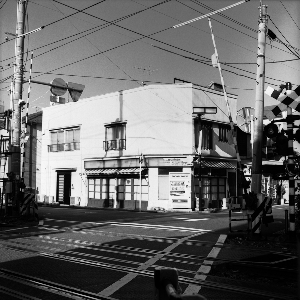 Photo: Gotokuji Crossing