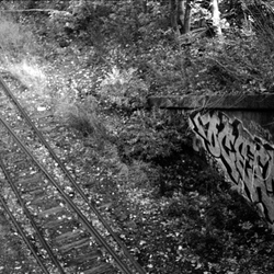 Photo: Graffiti - Train Tracks