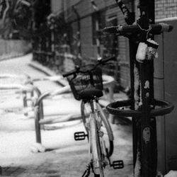 03-Shimokita-Bicycle