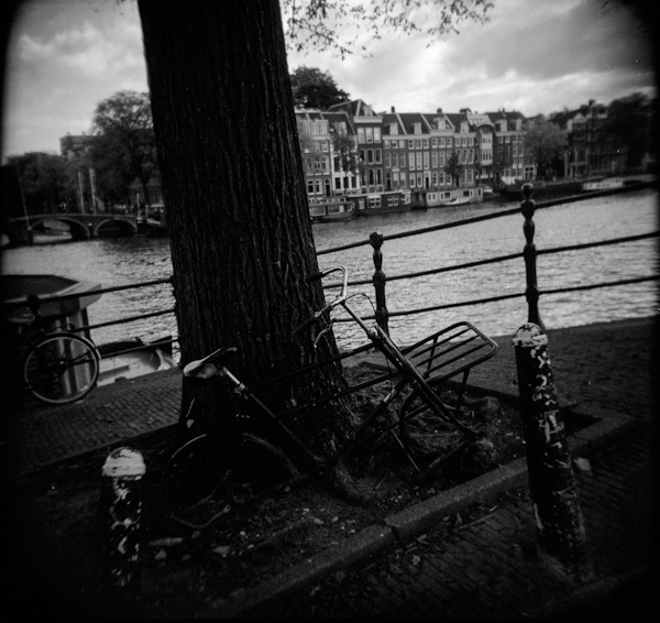 Abandoned bike against a tree near the Amstel
