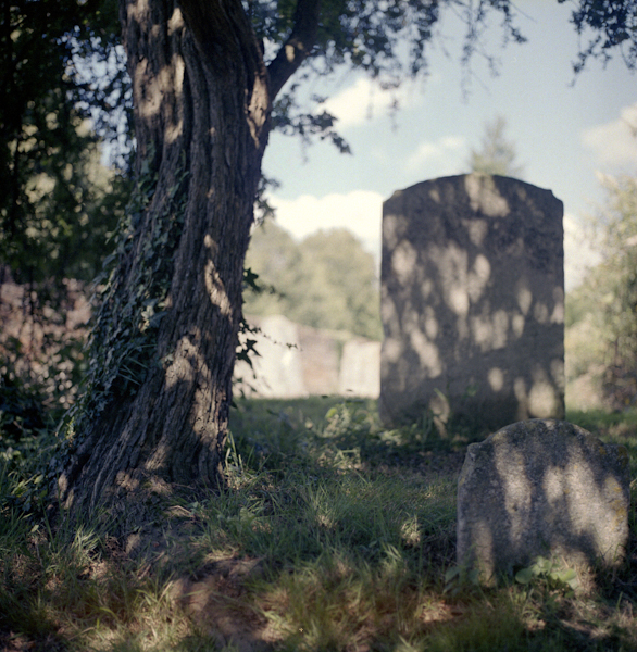 Wood And Stone