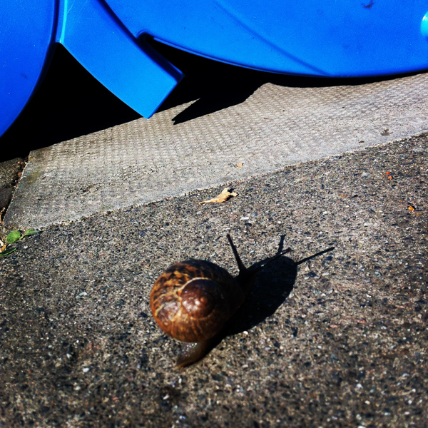 away, slowly - a snail