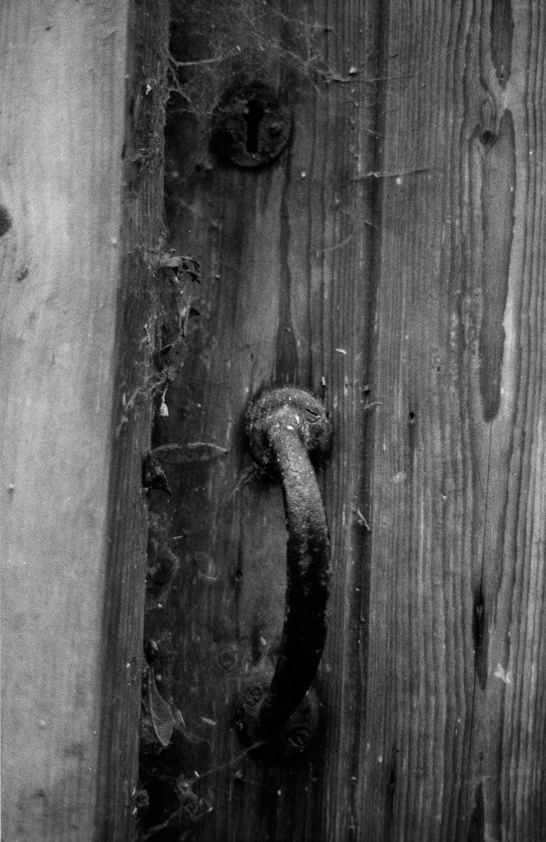 Photo: Door and Cobwebs