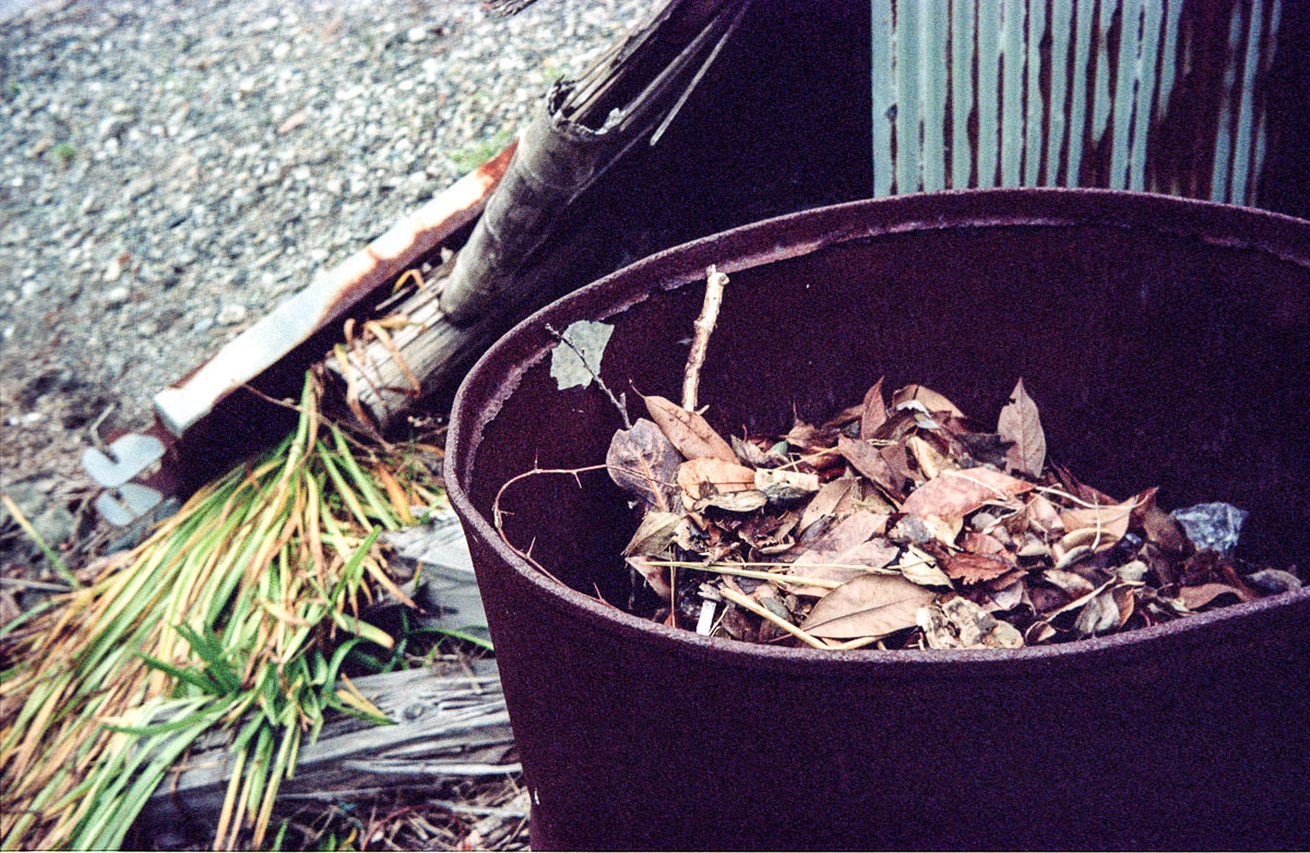 Photo: Un seau de feuilles mortes près d'une paroi rouillée