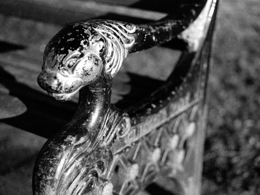 Patina on a bench