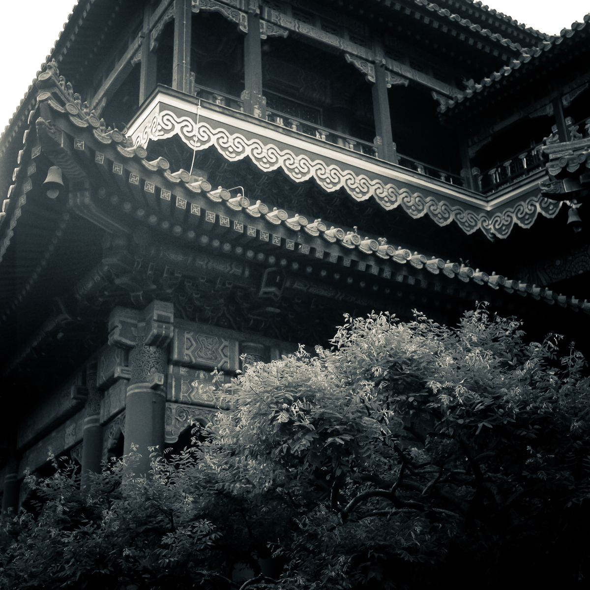 Photo: Lama Temple